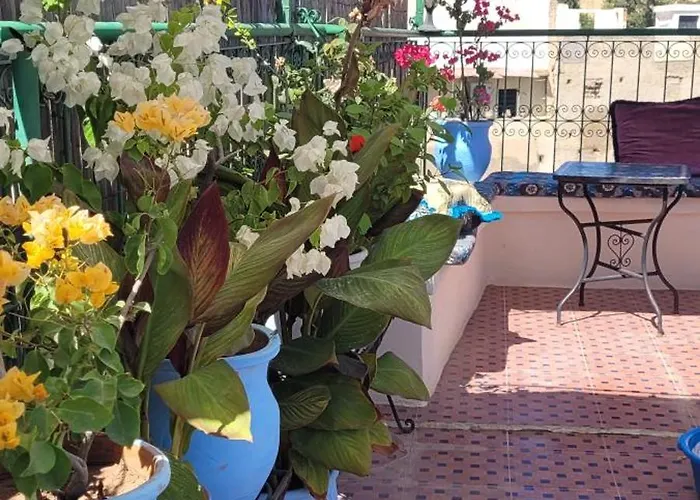 Riad Fes Blida