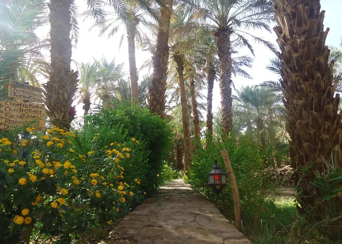 Riad Tagmadarte Ferme D'Hote Zagora